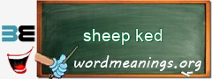 WordMeaning blackboard for sheep ked